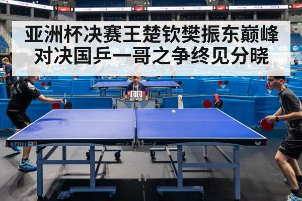 亚洲杯决赛王楚钦樊振东巅峰对决国乒一哥之争终见分晓