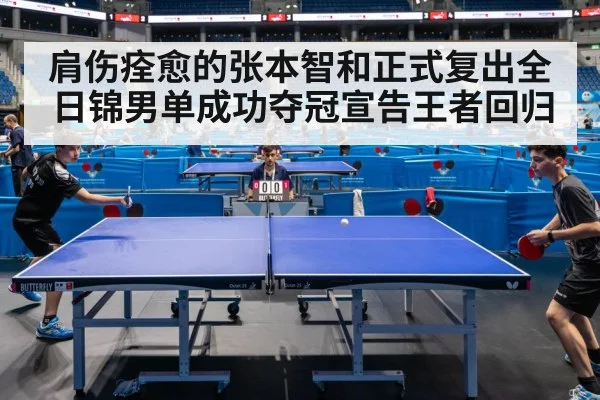 肩伤痊愈的张本智和正式复出全日锦男单成功夺冠宣告王者回归